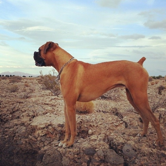 Meet your Posher, Kym - Picture 1 of 1